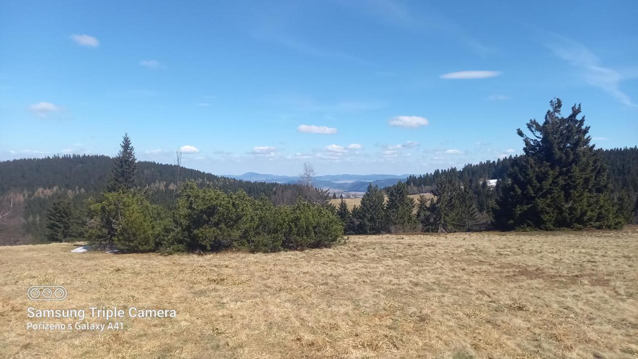 Villa Chata U Lesa Svoboda nad Úpou Exterior foto